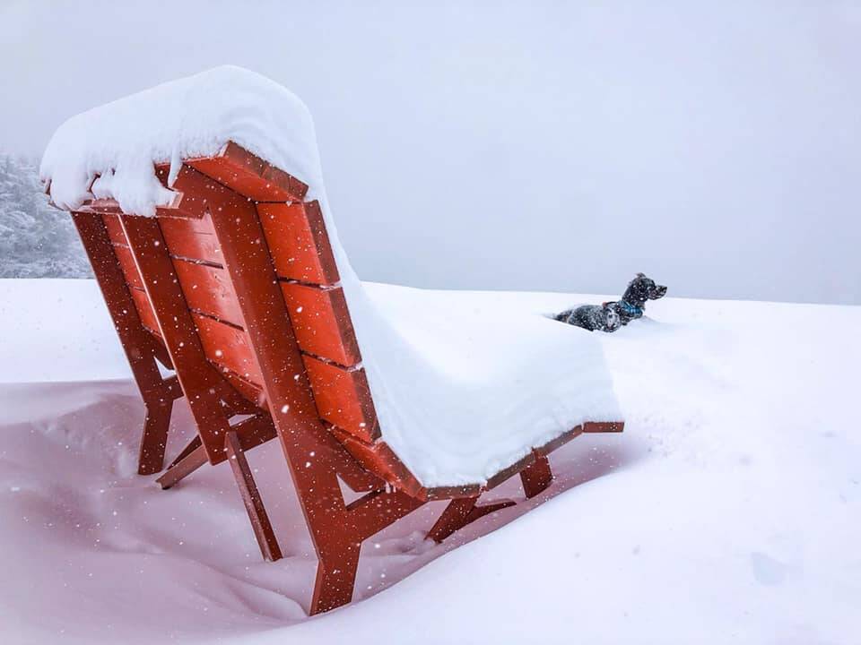 Oltre due metri di neve fresca a Prato Nevoso: la panchina gigante è sepolta!