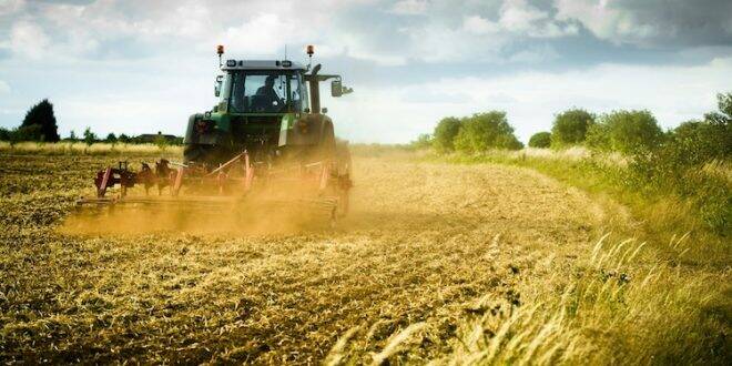 “Agricoltori strozzati dai costi alle stelle”  Coldiretti Cuneo lancia l’allarme