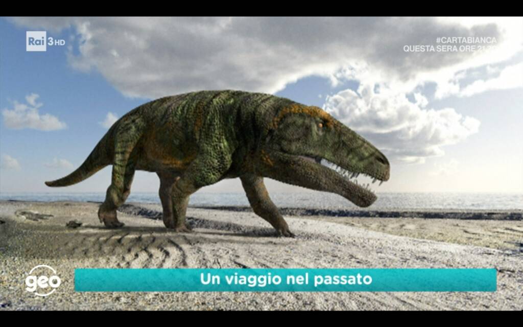 Dinosauri in Val Maira, ne ha parlato a Geo&Geo il professore Massimo Delfino