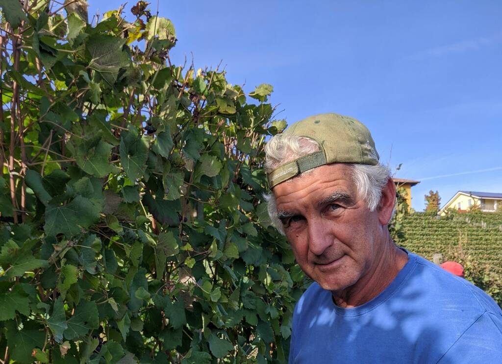 E’ il produttore di vino Diego Marengo la vittima dell’incidente nell’azienda agricola di Monforte d’Alba