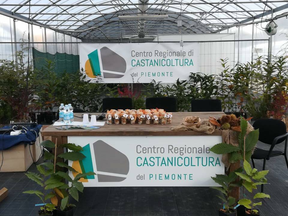 Chiusa Pesio, il Centro di Castanicoltura diventa punto di riferimento nazionale