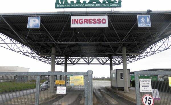 Cuneo, il MIAC sospende nuovamente il mercato del bestiame