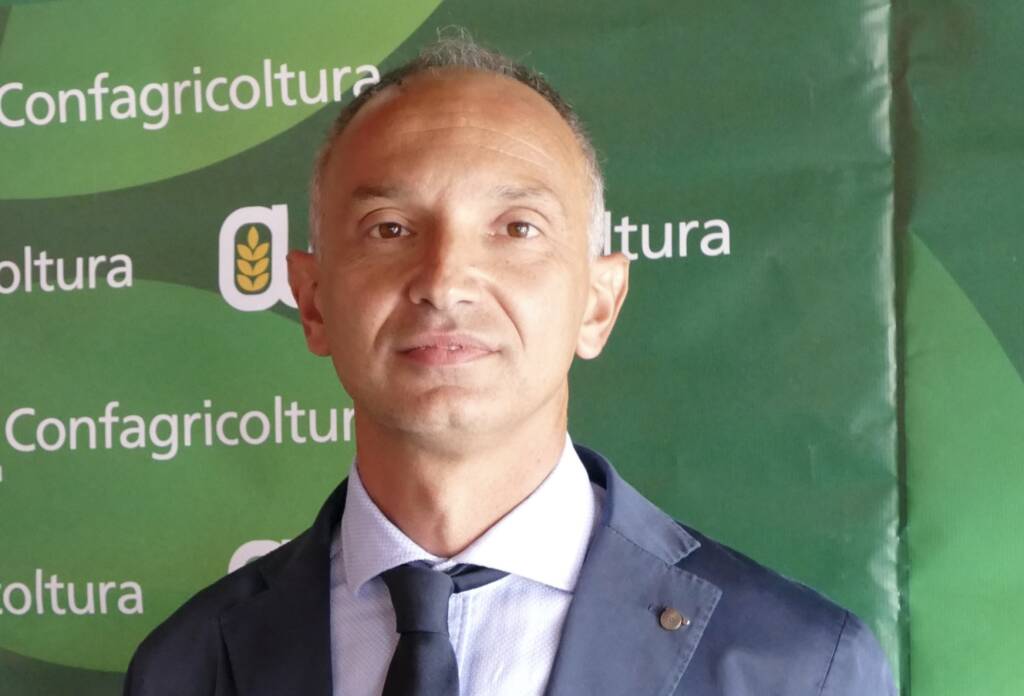 Enrico Allasia eletto presidente nazionale dei produttori di legno di Confagricoltura