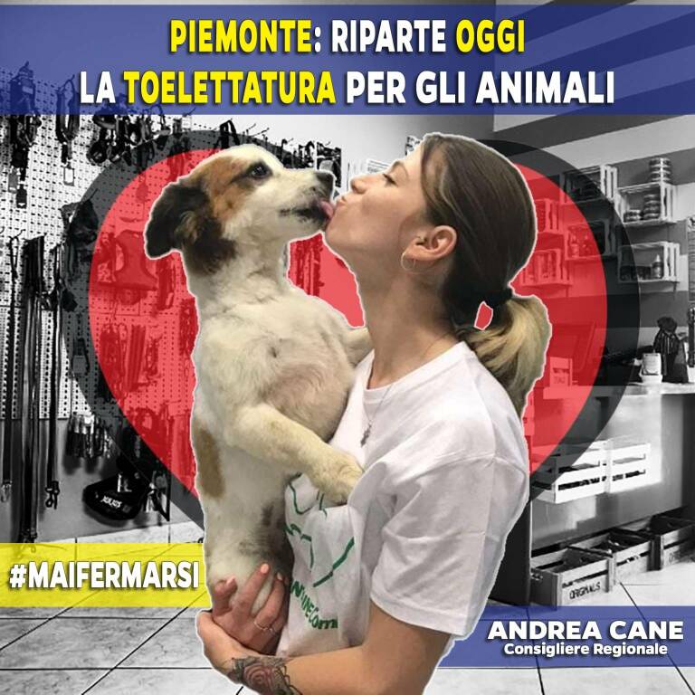 “Finalmente consentita toelettatura animali da compagnia”: soddisfatto Andrea Cane (Lega Piemonte)