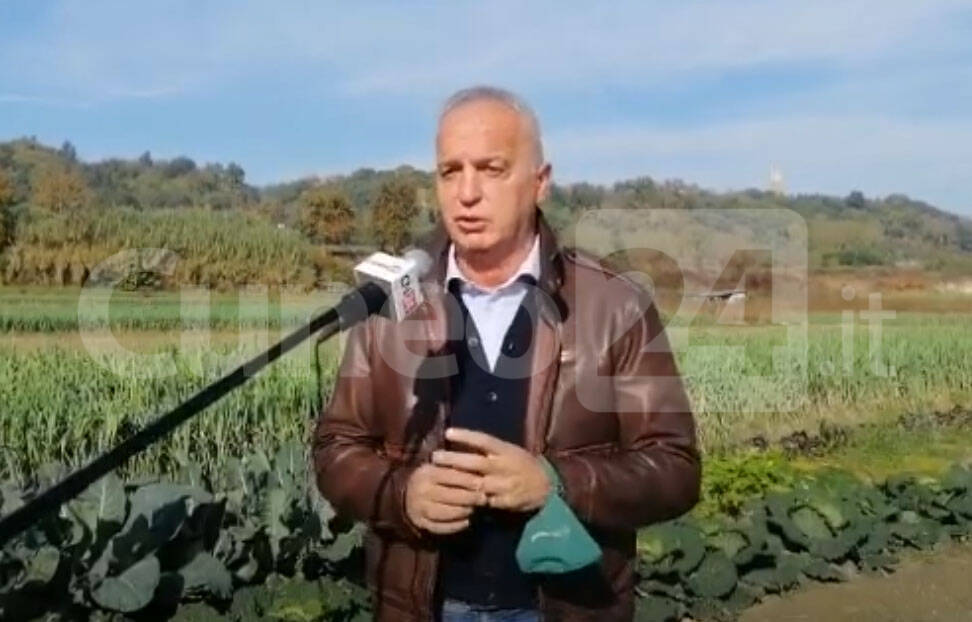 Agricoltura biologica, Bergesio (Lega): “Bene slittamento proroga fitosanitari a fine 2025”