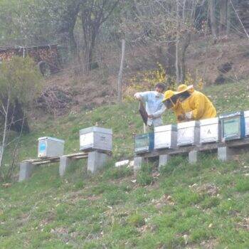Caritas di Saluzzo, da stagionali ad apicoltori con Bee My Job