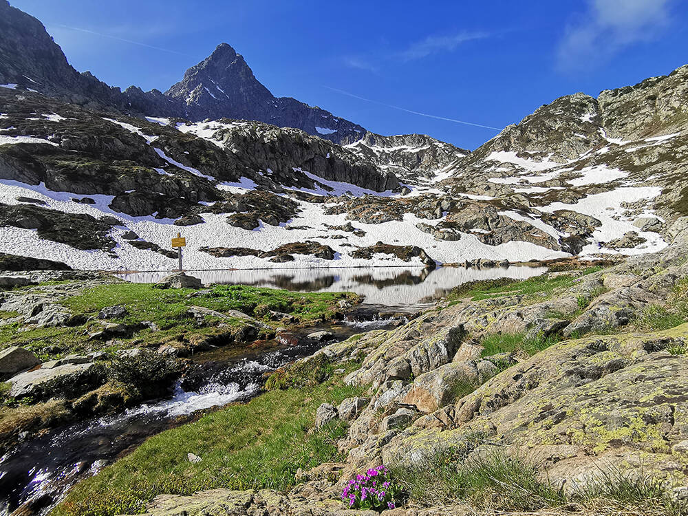 Due gite nelle Alpi Marittime per la Giornata europea dei Parchi