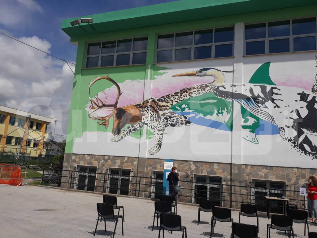  street art di Iena Cruz  scuola media  Madonna dell'Olmo