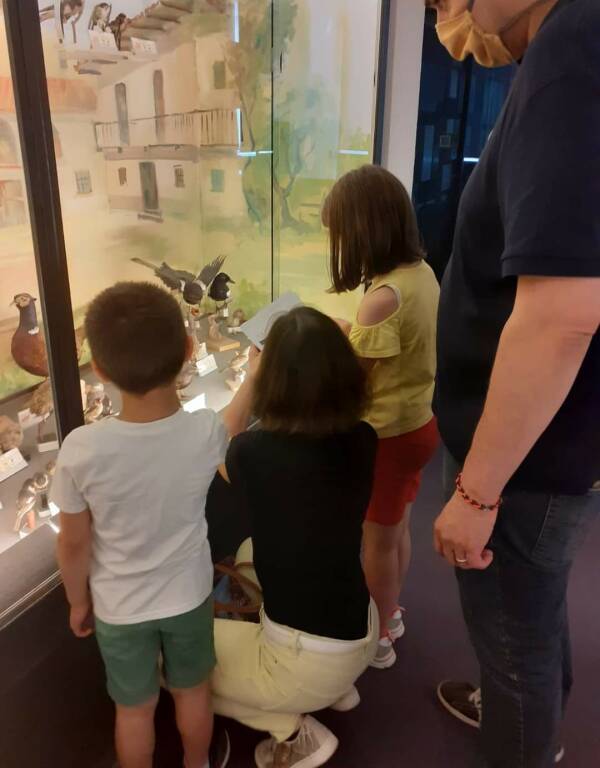 Alba propone “famiglie al Museo”