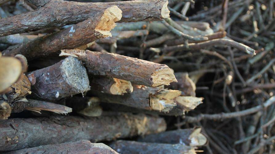La Regione Piemonte apre un bando che concede contributi per rottamare stufe e caldaie a biomassa