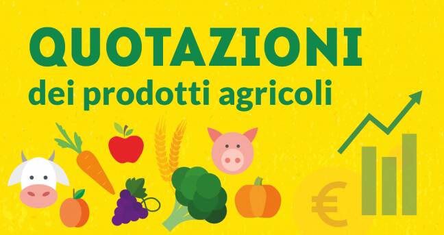 Prezzi alimentari in netta ascesa, Coldiretti Cuneo: “Garantire stabilità finanziaria ad imprese”
