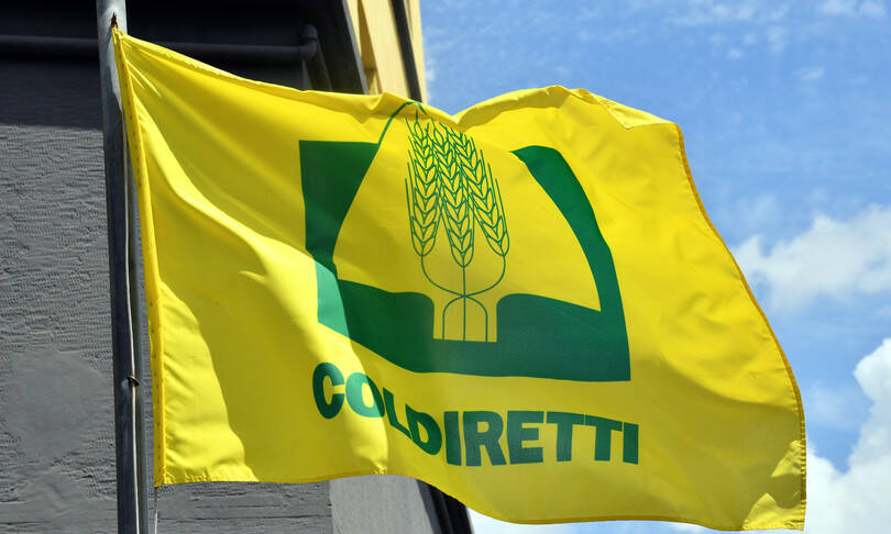 “Pubblicato il Decreto per salvare la filiera del Made in Italy”