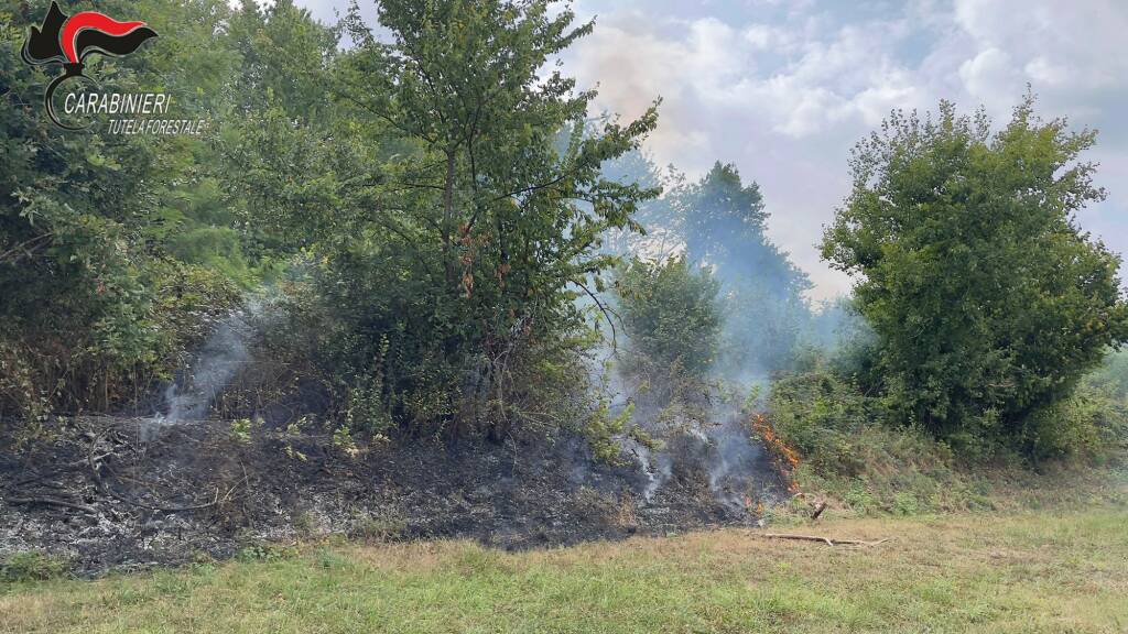 Incendi boschivi, da inizio anno 21 segnalazioni e 36 verbali dei Carabinieri Forestali di Cuneo