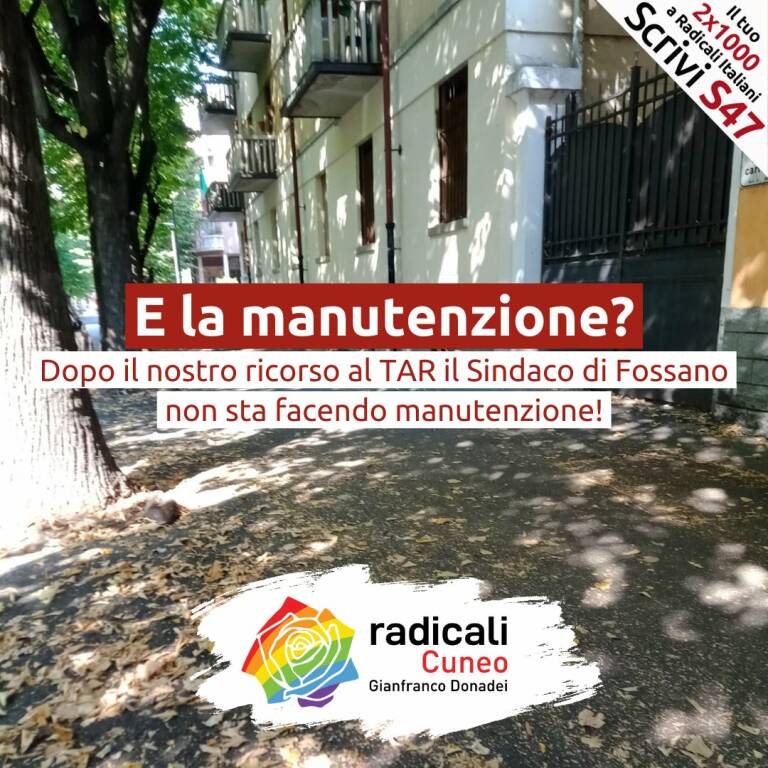 Radicali Cuneo: “Il Comune di Fossano continua a non fare manutenzione sui tigli”