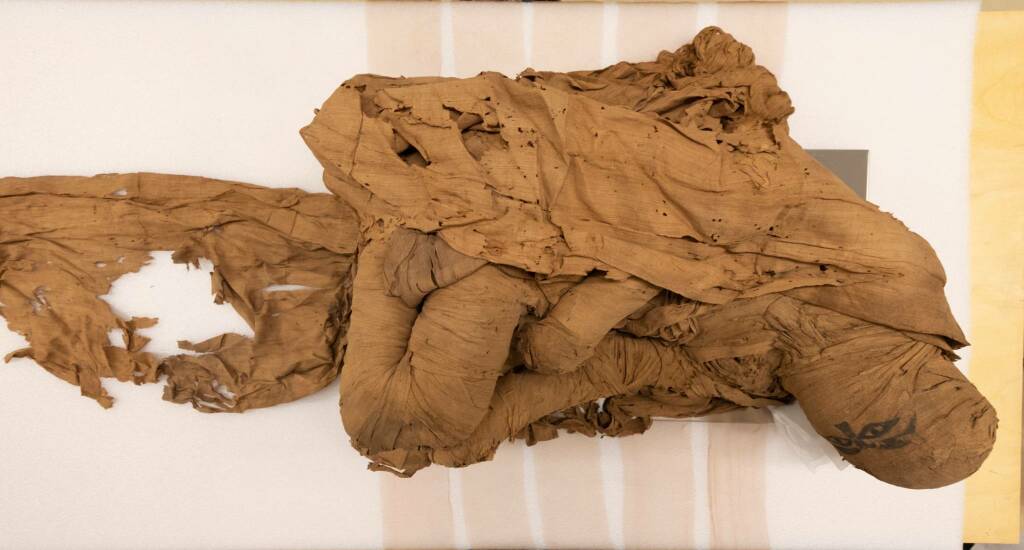 Prorogata la mostra “L’uomo svelato” di Bra che espone una mummia egizia