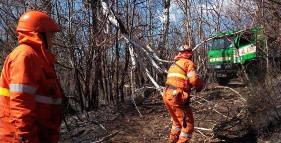 Regione Piemonte, prosegue senza sosta l’attività contro gli incendi boschivi
