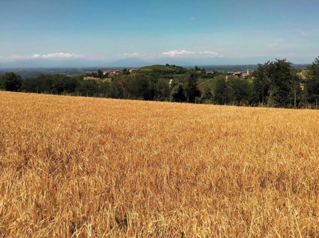 Su forte spinta della Cia Cuneo, nell’agosto 2019 è nato il Consorzio Birra Origine Piemonte