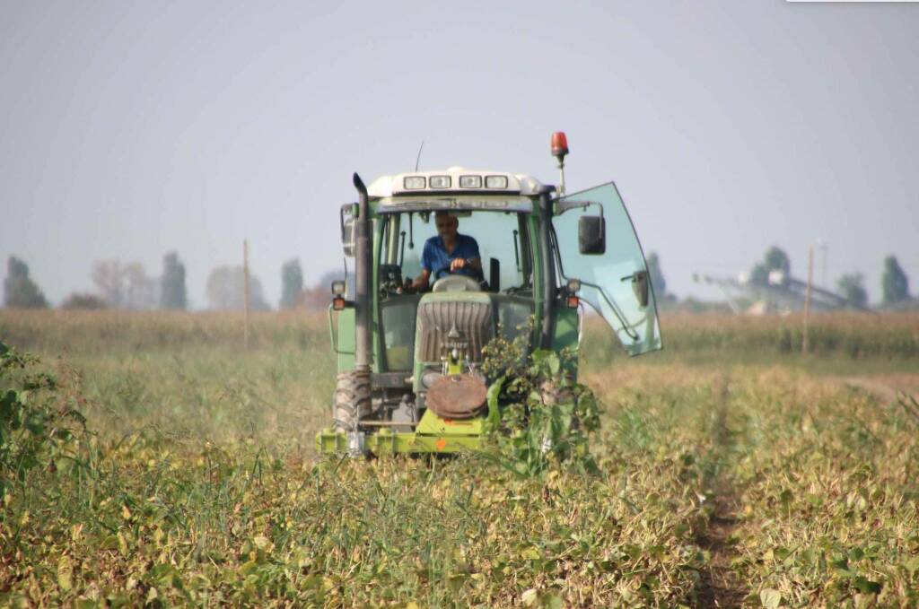 “La crisi di Governo non fermi gli interventi per l’agricoltura”
