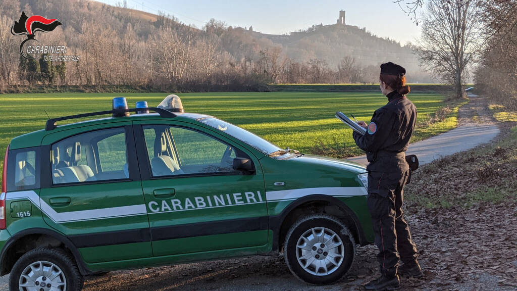 I risultati operativi dei Carabinieri Forestali nel 2021