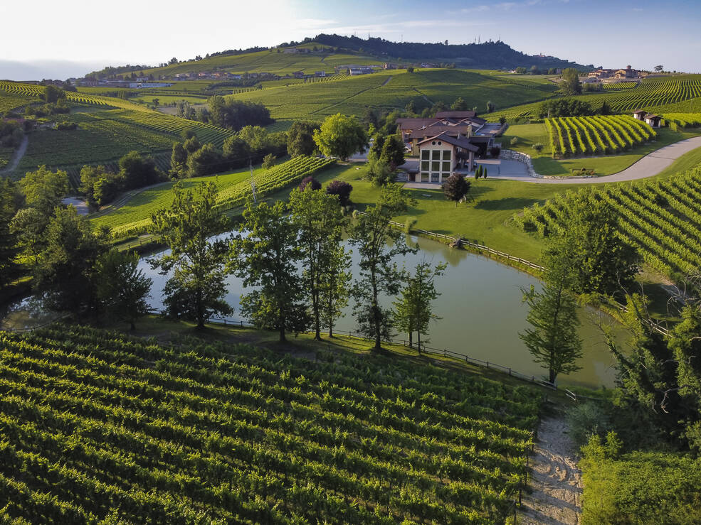 Forbes: il vino Sansilvestro di Novello nelle top 100 eccellenze italiane