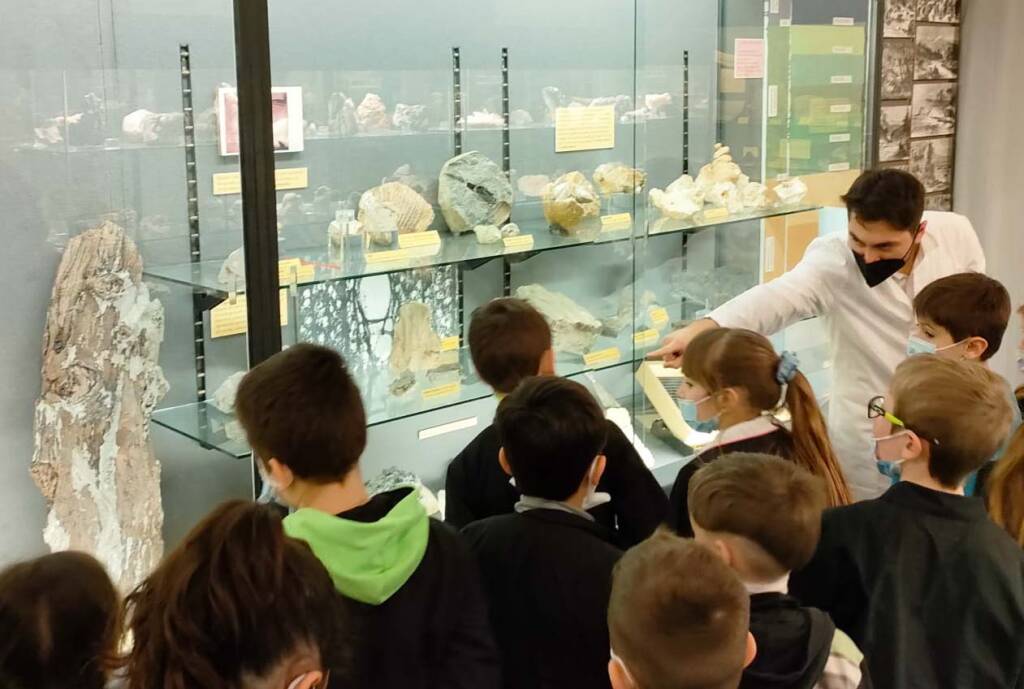 Aperte le visite ai depositi sotterranei dei Museo Eusebio di Alba