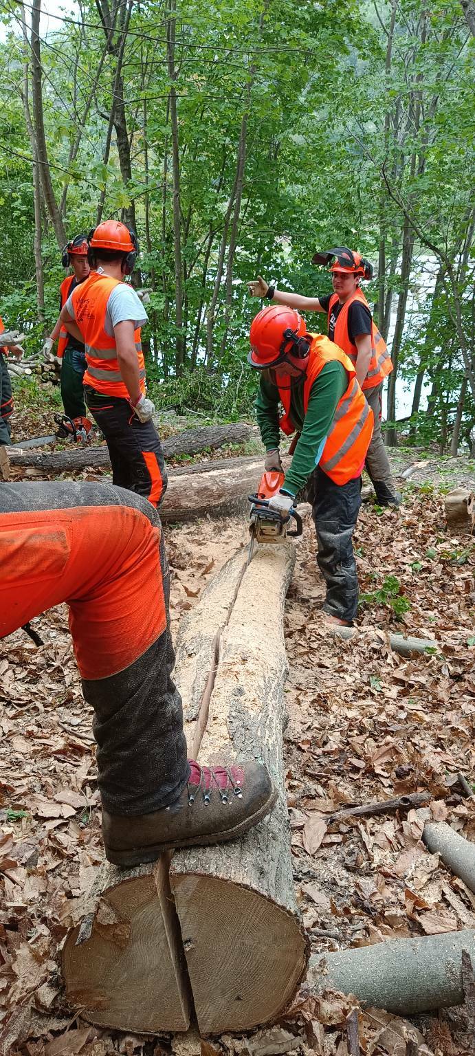 Tempo di cantieri alla Scuola forestale di Ormea: studenti in aula-bosco