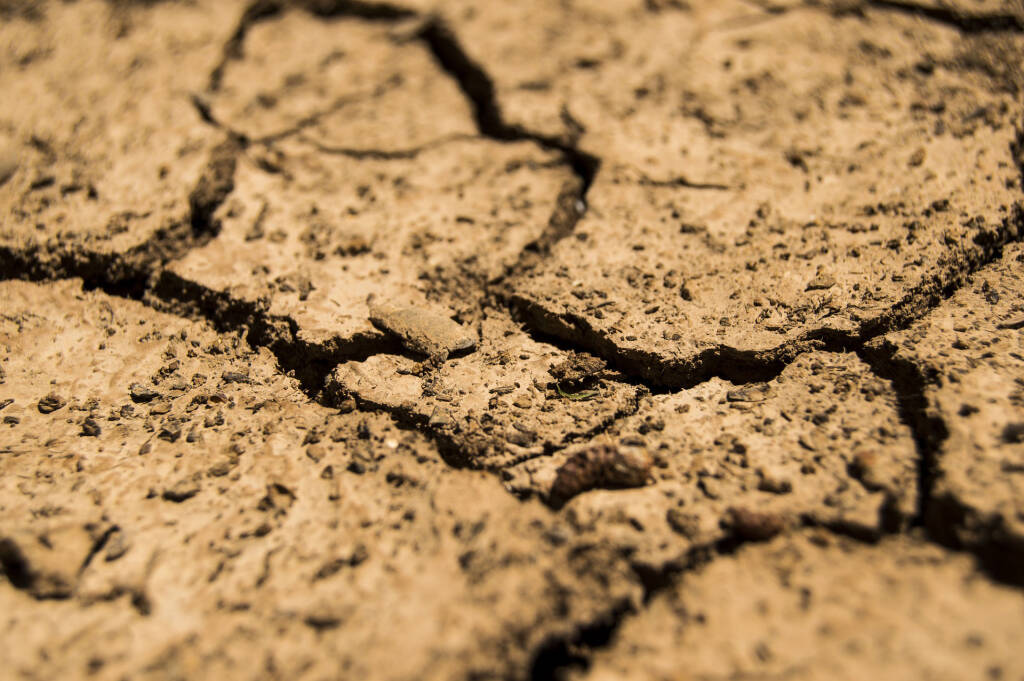 “Emergenza siccità in Piemonte, si dichiari lo stato di calamità naturale”