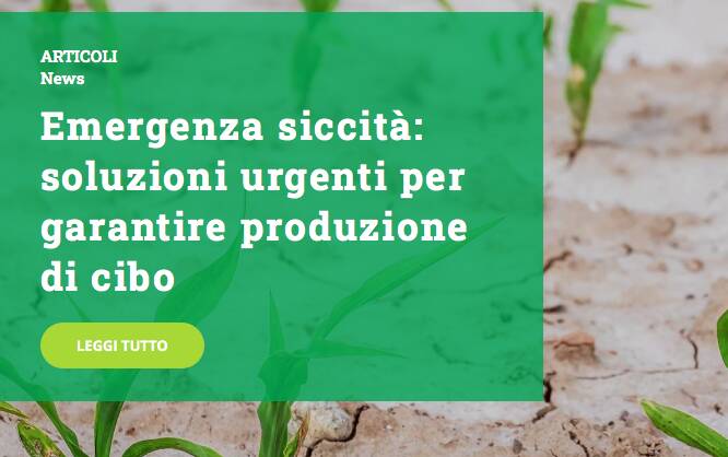 Siccità, Coldiretti Cuneo: soluzioni urgenti per garantire produzione di cibo