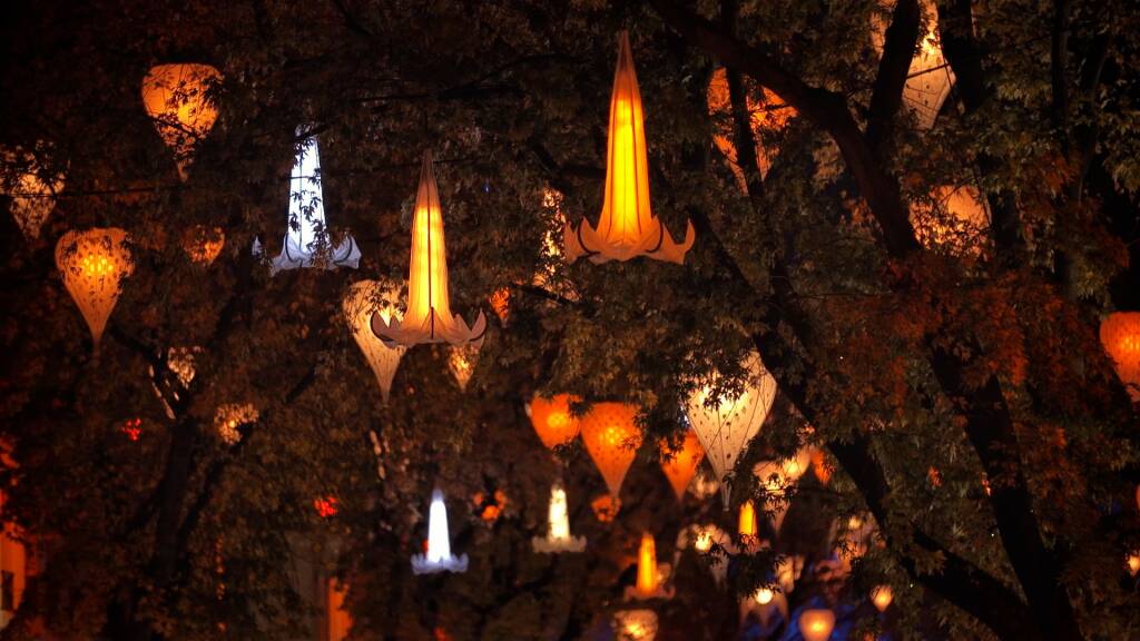 Un soffitto di fiori e luci per via Roma, in una magica Cuneo Illuminata “In Fior”