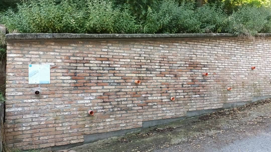 Muro imbrattato Castelletto stura