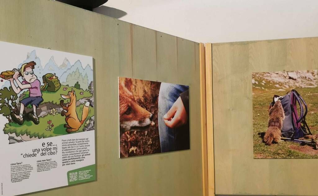“Gli animali e noi” mostra e campagna di informazione delle Aree Protette Alpi Marittime