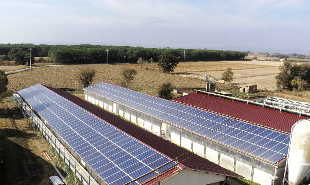 fotovoltaico pannelli solari stalle Coldiretti 