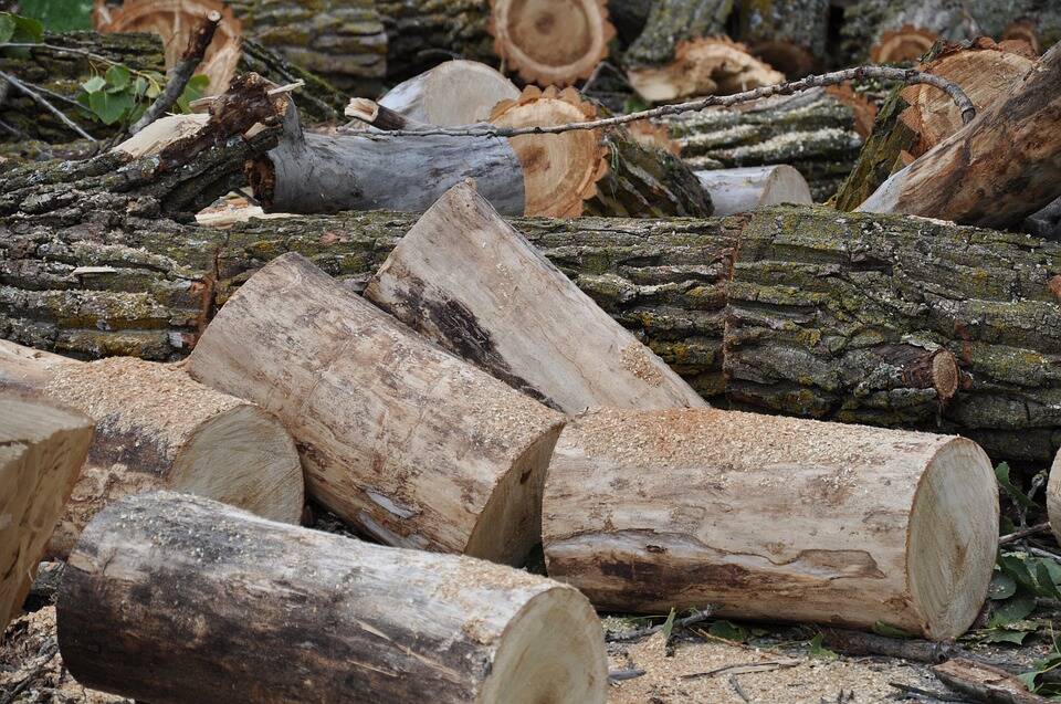 Confagricoltura Cuneo: “Aumentare l’uso di legna locale in nome della sostenibilità economica”