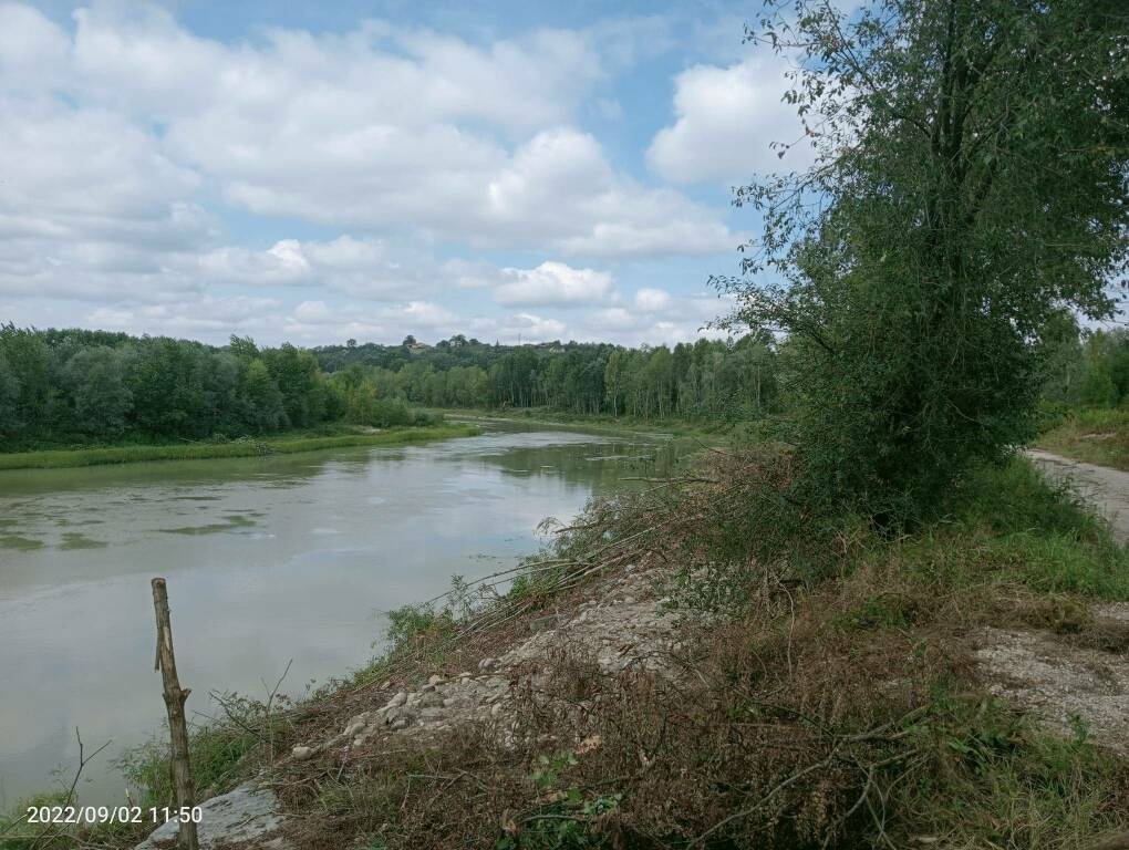 fiume Tanaro Alba