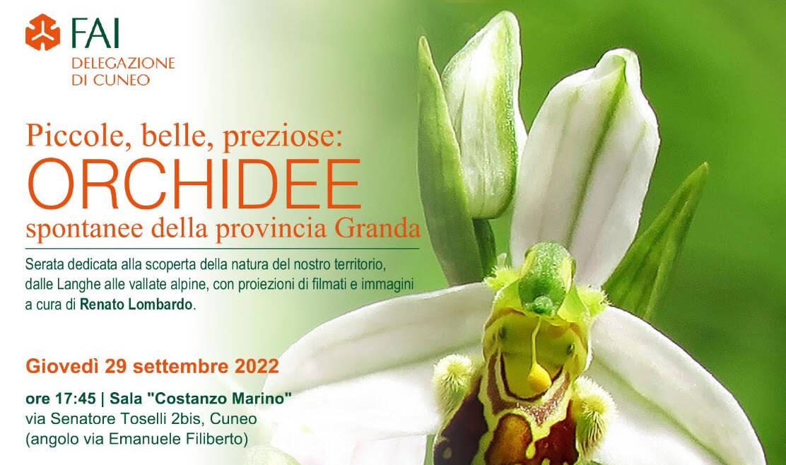 A Cuneo la presentazione del libro “Le orchidee spontanee della provincia Granda”