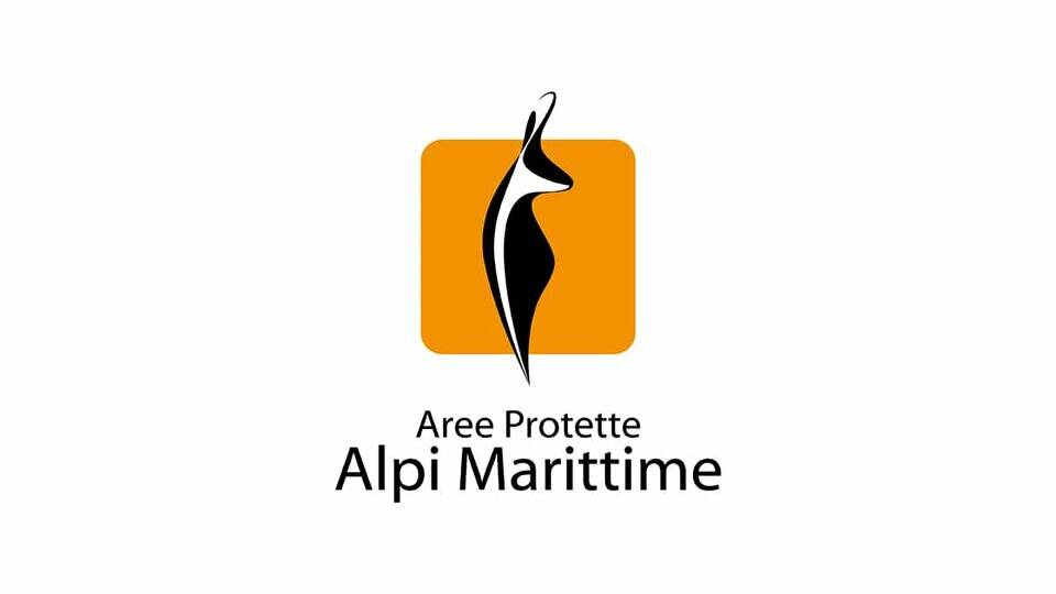 Aree Protette delle Alpi Marittime: pubblicato un bando per “Istruttore Direttivo Tecnico”