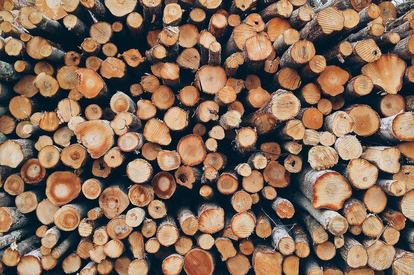 Filiera legno, Coldiretti Cuneo: “Bene la sburocratizzazione sui tagli colturali”