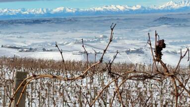 Neve, Coldiretti Cuneo: bene per l’agricoltura ma resta la crisi idrica