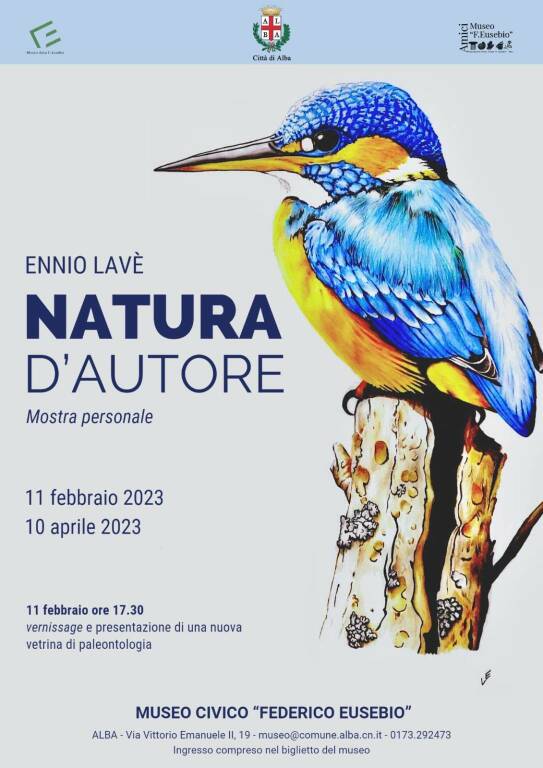 Alba, la mostra “Natura d’autore” con i disegni di Ennio Lavè nel Museo Civico