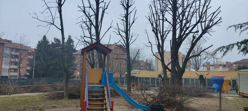 manutenzione alberi parco giochi alba
