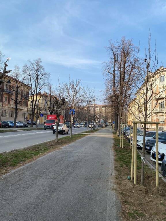 A Cuneo 300 nuovi alberi per riqualificare e valorizzare Viale Angeli