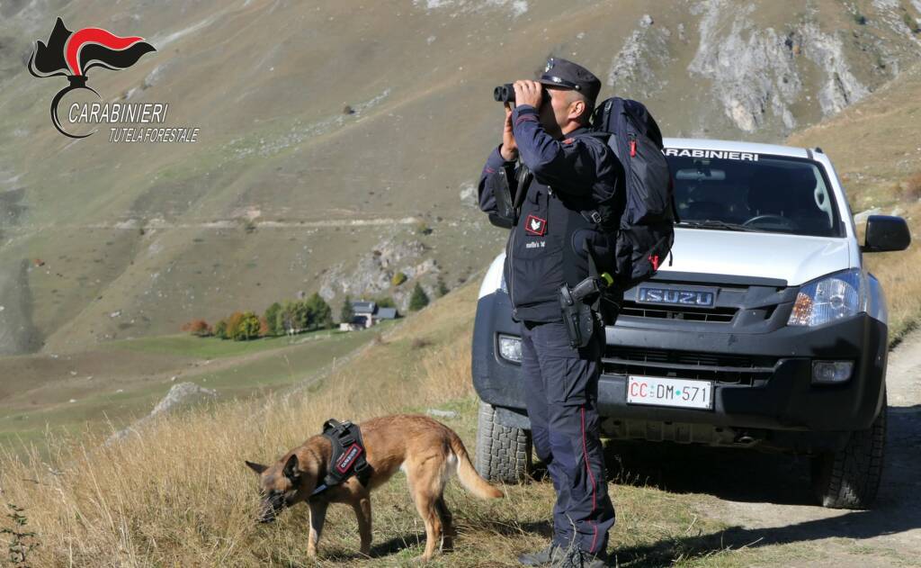 Controlli in aumento dei Carabinieri Forestali operativi in Granda