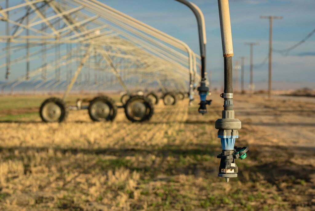 Arriva il primo bando per l’uso efficiente delle risorse idriche nelle aziende agricole