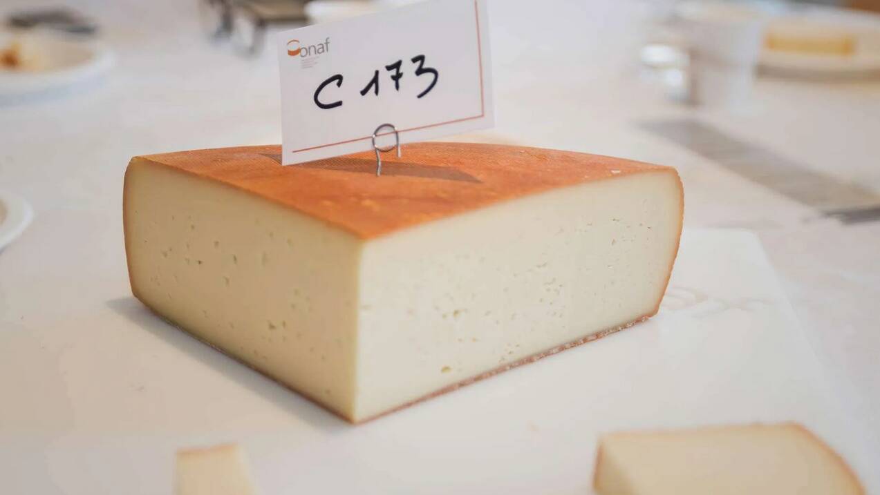 Il 10 e 11 giugno il primo concorso per produttori di formaggi del Piemonte