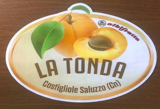 Costigliole Saluzzo, nasce il marchio “La Tonda”