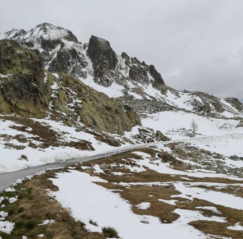 Colle lombarda 