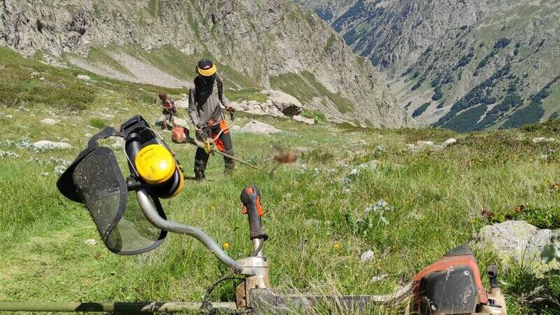 Proseguono i lavori di sistemazione e pulizia dei sentieri delle Aree Protette Alpi Marittime