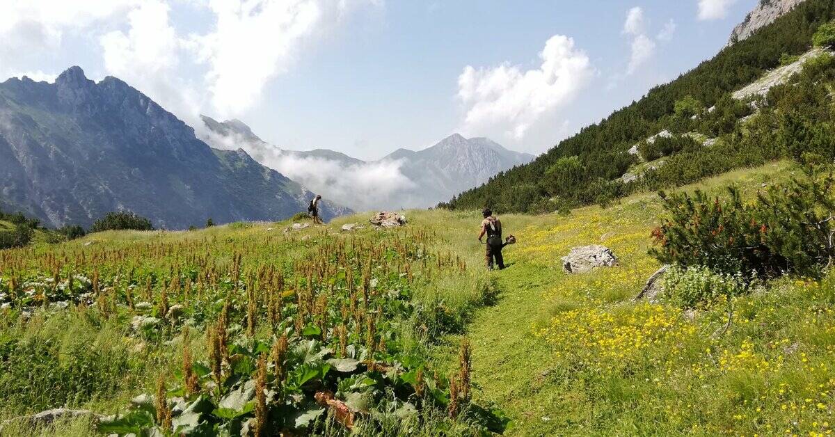 Interventi su passerelle e sentieri per favorire il turismo escursionistico nell’Area Protetta Alpi Marittime