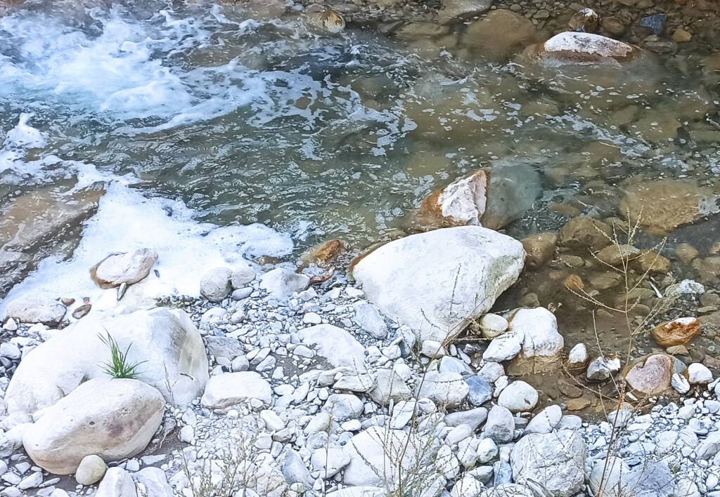 Moria di pesci a Limone Piemonte nel torrente Vermenagna