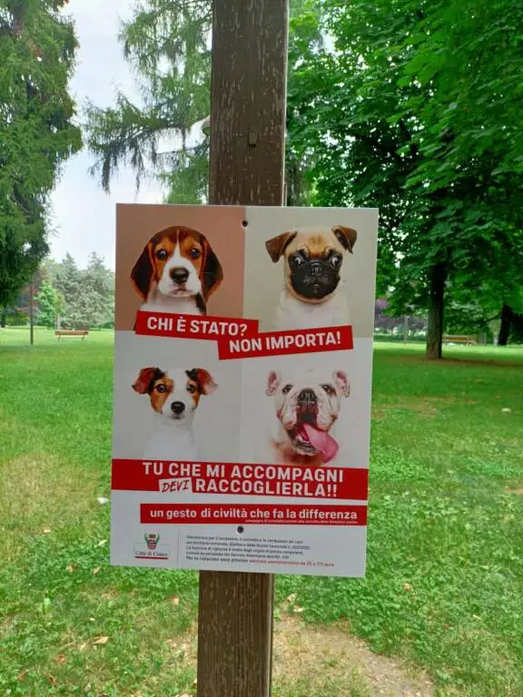 A Cuneo nuova campagna di sensibilizzazione e più controlli su deiezioni canine